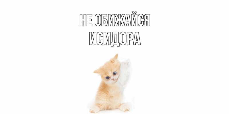 Картинка Не обижайся, Исидора