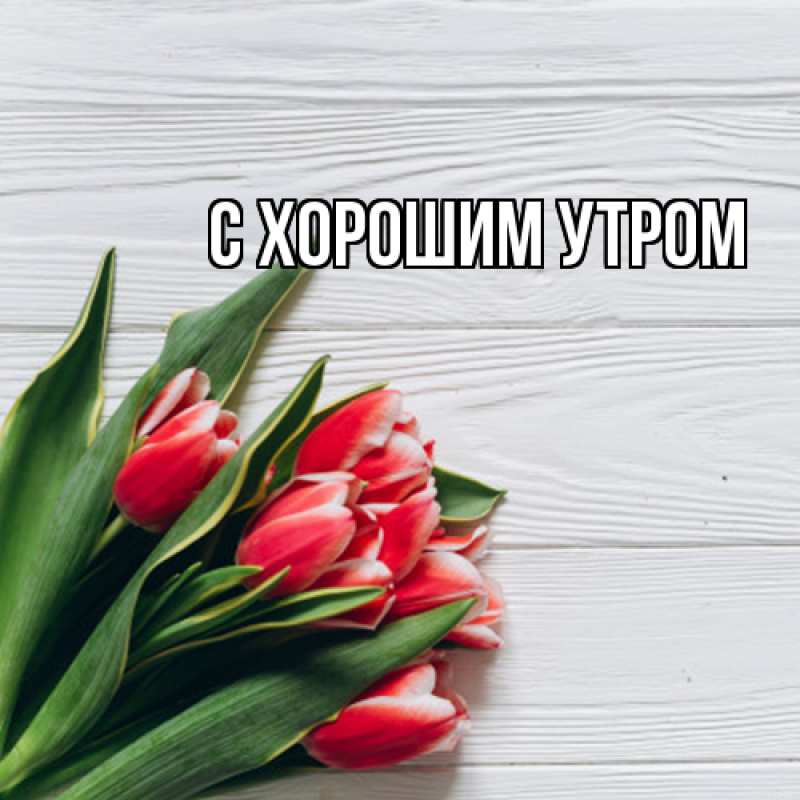 Картинка Люблю тебя, Иван