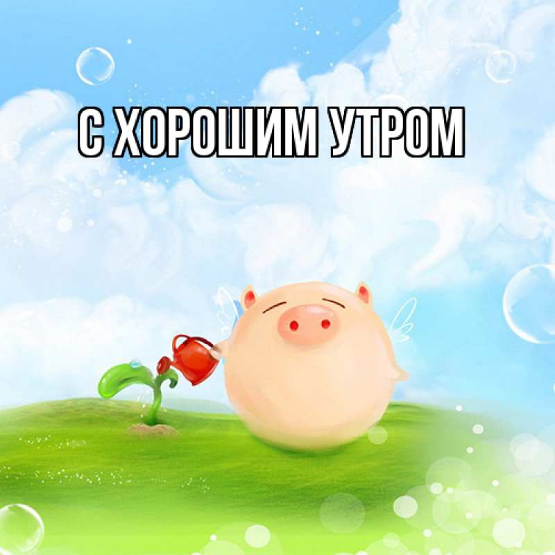 Картинка Удачи тебе, Толя