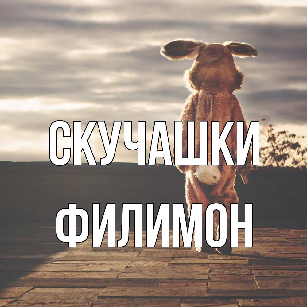 Открытка на каждый день с именем, Филимон Скучашки даже в костюме зайца Прикольная открытка с пожеланием онлайн скачать бесплатно 
