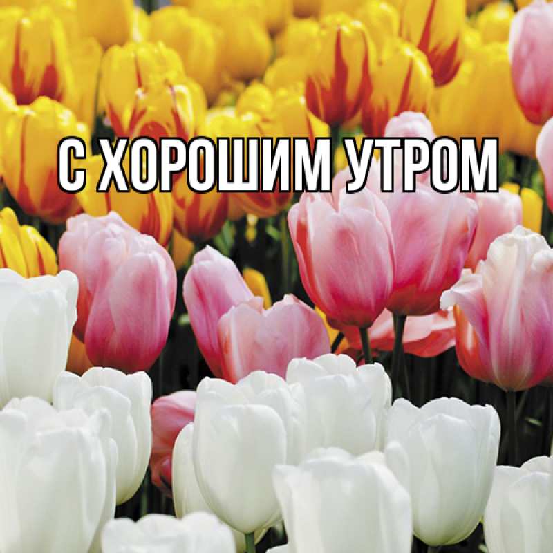 Картинка Люблю тебя, Лида