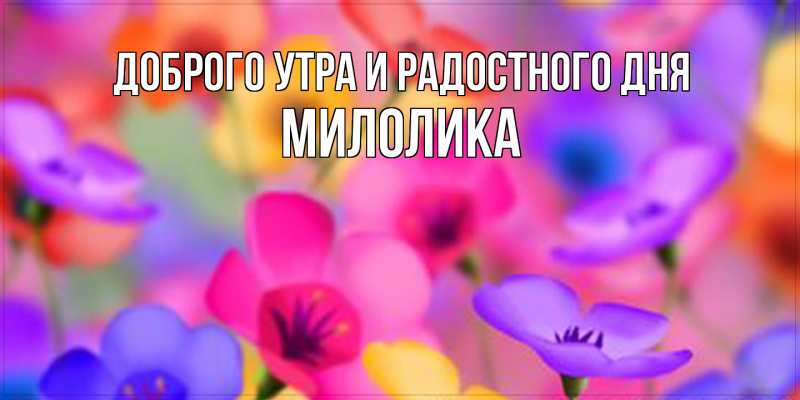 Картинка Доброго утра и радостного дня, Милолика