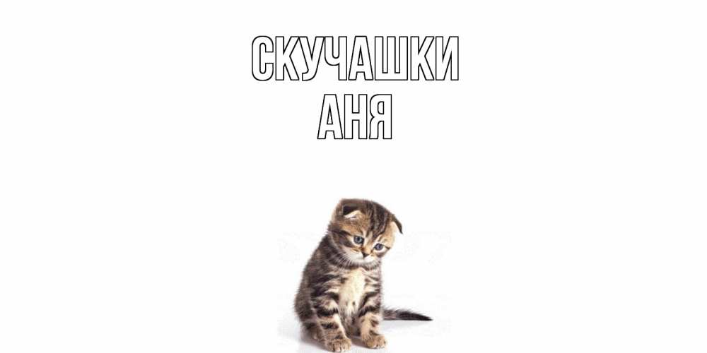 Открытка на каждый день с именем, Аня Скучашки кот Прикольная открытка с пожеланием онлайн скачать бесплатно 