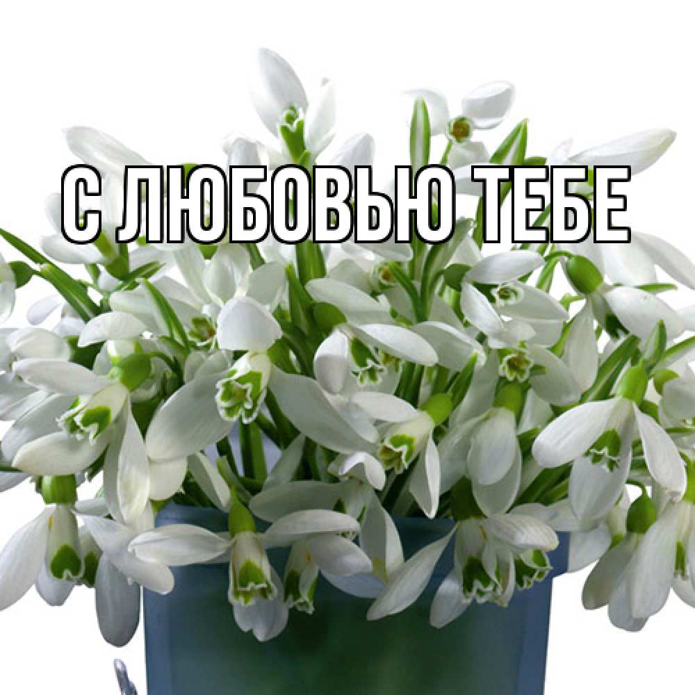 Открытка на каждый день с именем, Аза Люблю тебя цветы к международному женскому дню Прикольная открытка с пожеланием онлайн скачать бесплатно 