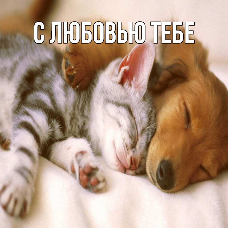 Открытка с именем, Алла, Обнимашки