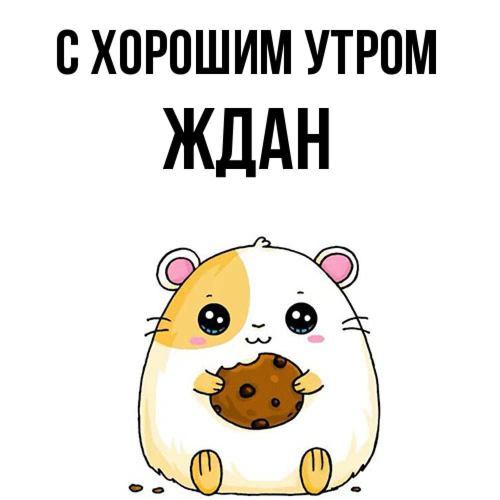 Открытка на каждый день с именем, Ждан С хорошим утром есть печеньку. Утречко Прикольная открытка с пожеланием онлайн скачать бесплатно 