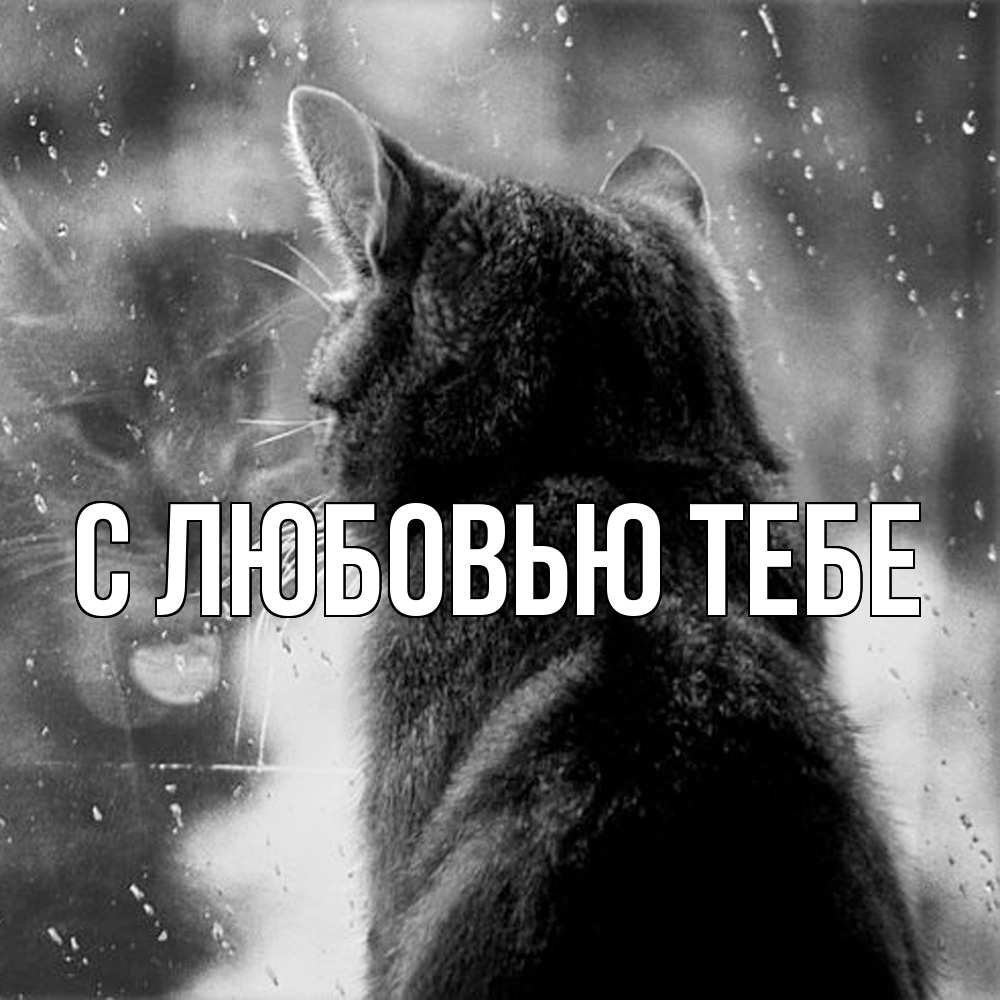 Открытка на каждый день с именем, Савва Скучашки скорее ко мне приходи 1 Прикольная открытка с пожеланием онлайн скачать бесплатно 