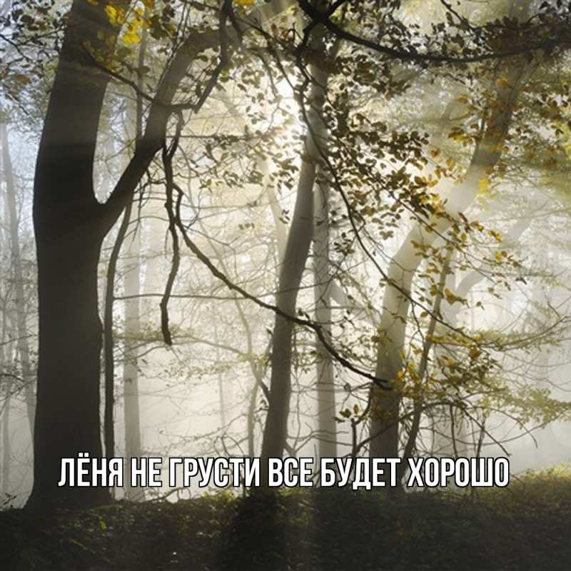 Картинка Не грусти, все будет хорошо, Лёня