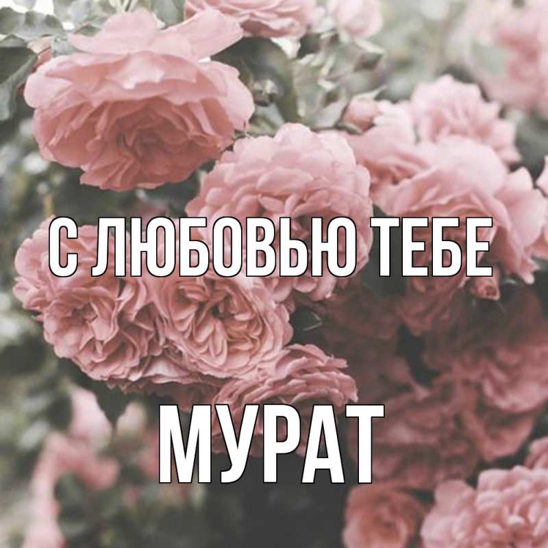 Картинка С любовью тебе, Мурат