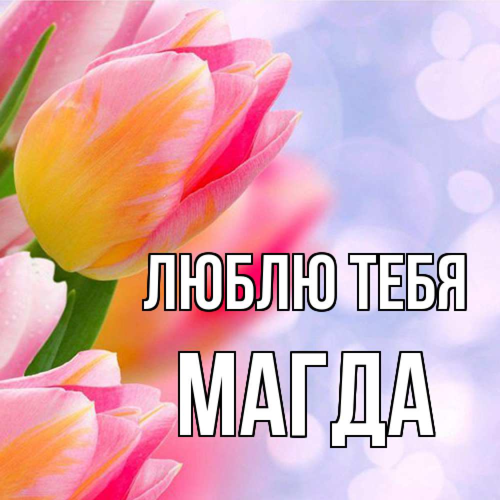 Открытка на каждый день с именем, Магда Люблю тебя тюльпаны 2 Прикольная открытка с пожеланием онлайн скачать бесплатно 