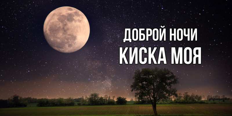 Картинка Доброй ночи, Киска моя