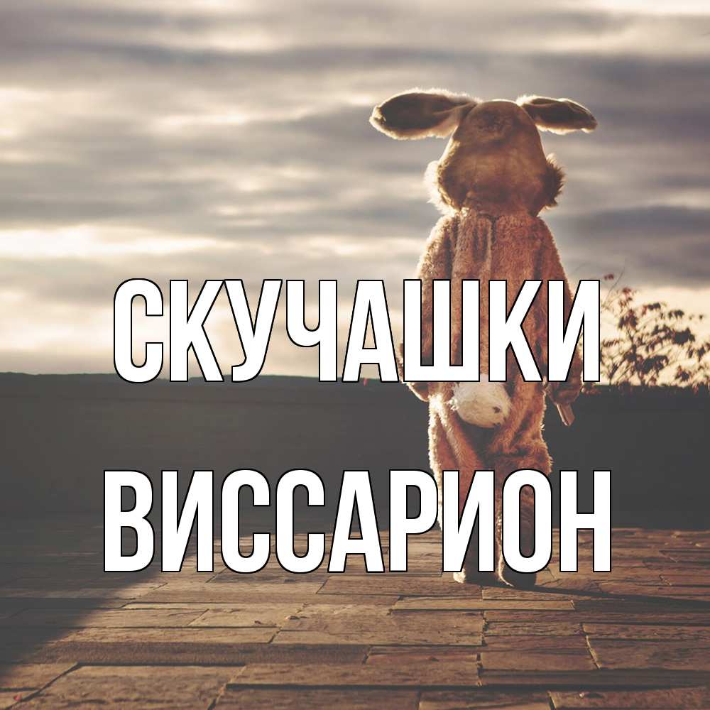 Открытка на каждый день с именем, Виссарион Скучашки даже в костюме зайца Прикольная открытка с пожеланием онлайн скачать бесплатно 