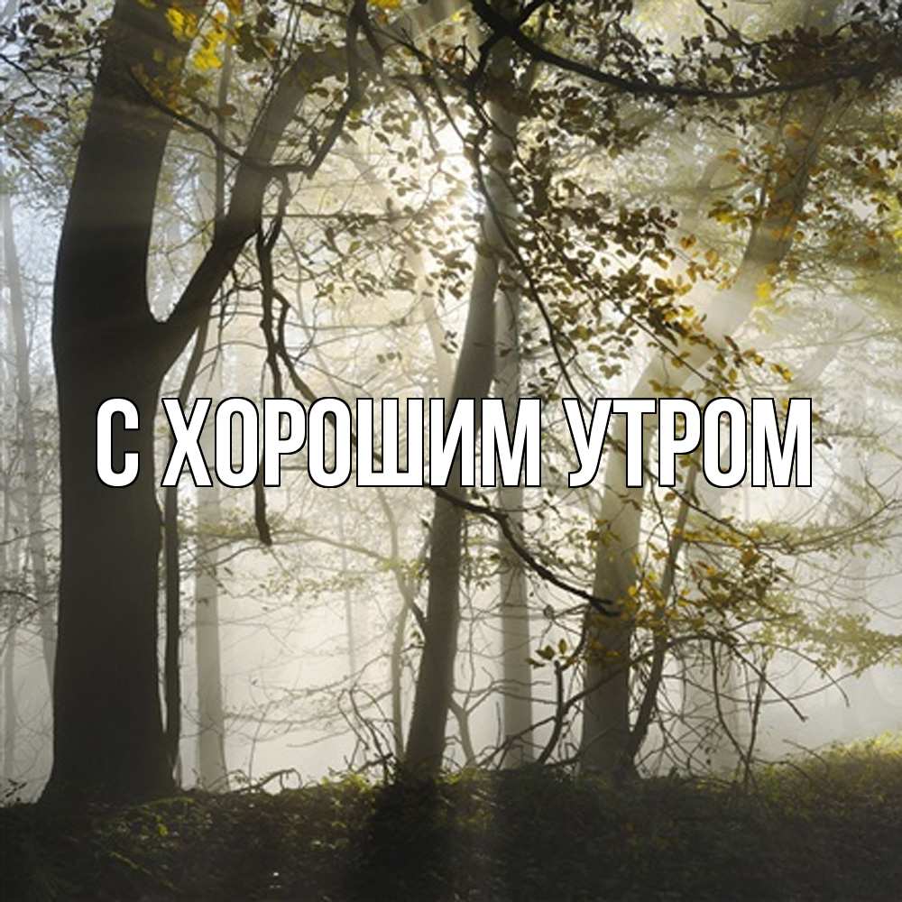 Открытка на каждый день с именем, Катюша Скучашки грустно Прикольная открытка с пожеланием онлайн скачать бесплатно 