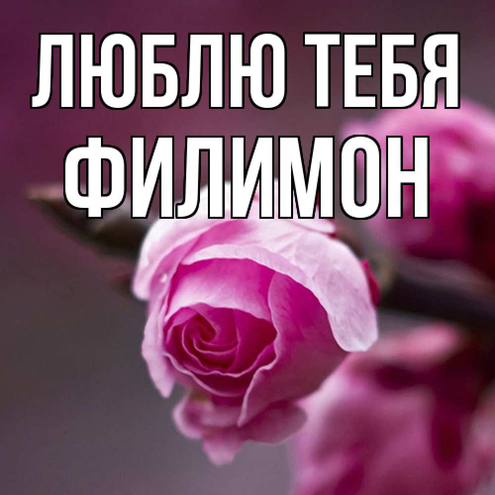 Открытка на каждый день с именем, Филимон Люблю тебя весна Прикольная открытка с пожеланием онлайн скачать бесплатно 