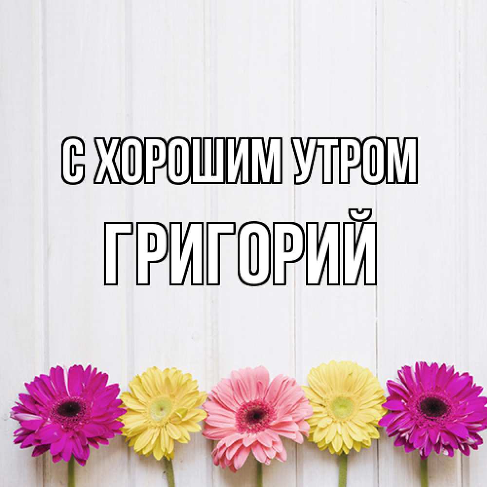 Открытка на каждый день с именем, Григорий С хорошим утром красный желтый и розовый цветок Прикольная открытка с пожеланием онлайн скачать бесплатно 