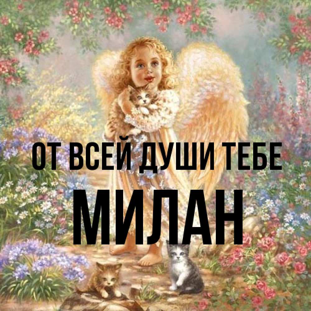 Открытка на каждый день с именем, Милан От всей души тебе держит котенка Прикольная открытка с пожеланием онлайн скачать бесплатно 