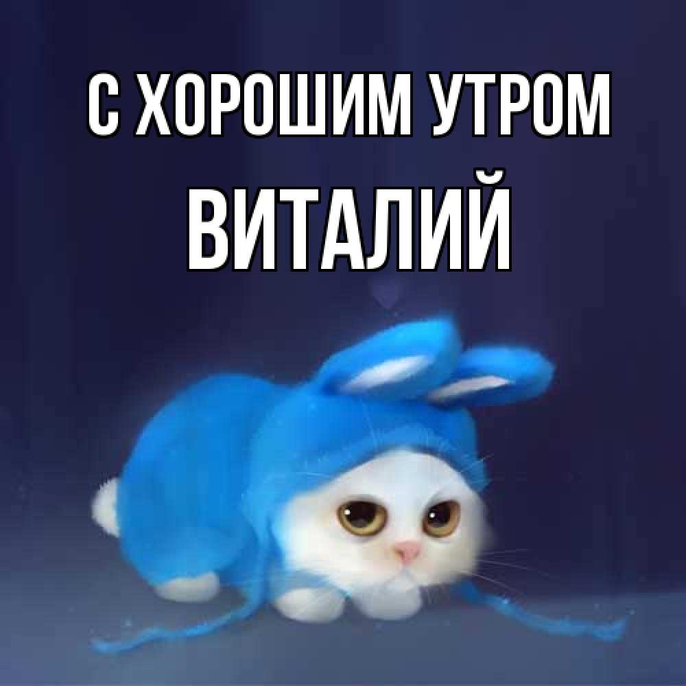 Открытка на каждый день с именем, Виталий С хорошим утром открытки красивые скачать бесплатно Прикольная открытка с пожеланием онлайн скачать бесплатно 