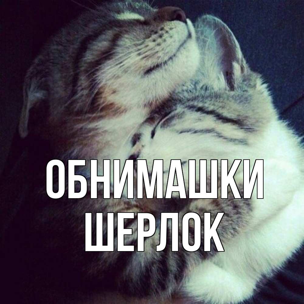 Открытка на каждый день с именем, Шерлок Обнимашки полосатики Прикольная открытка с пожеланием онлайн скачать бесплатно 