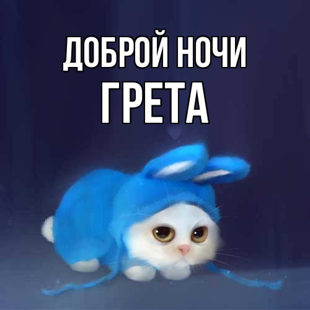 Открытка на каждый день с именем, Грета Доброй ночи кот в голубом костюме кролика с ушками Прикольная открытка с пожеланием онлайн скачать бесплатно 