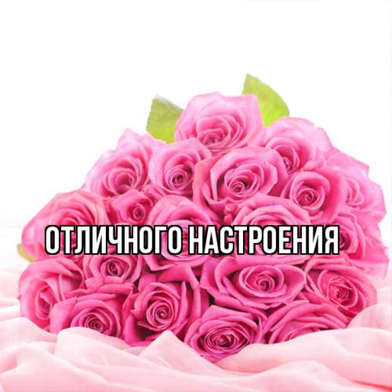 Картинка Большое спасибо, Толя