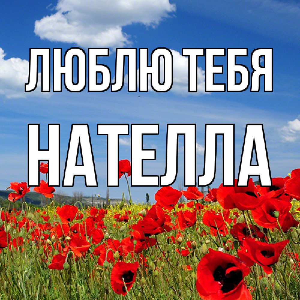 Открытка на каждый день с именем, Нателла Люблю тебя международный женский день 1 Прикольная открытка с пожеланием онлайн скачать бесплатно 