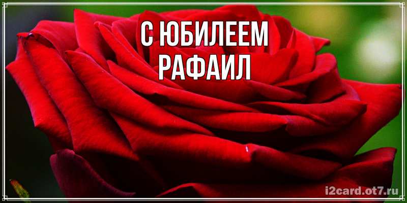 Картинка C юбилеем, Рафаил