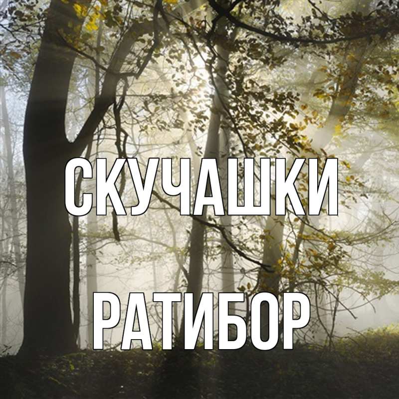Картинка Скучашки, Ратибор