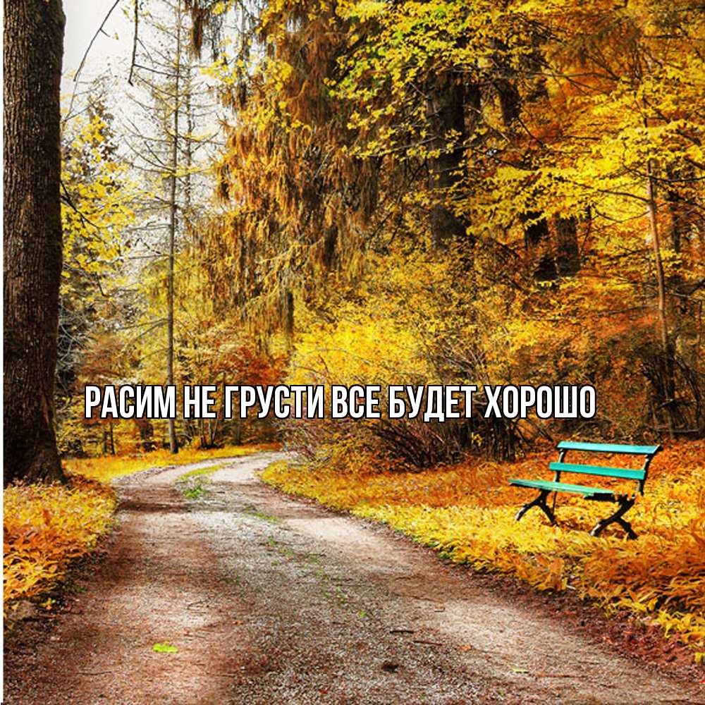 Открытка на каждый день с именем, Расим Не грусти все будет хорошо зеленая лавочка Прикольная открытка с пожеланием онлайн скачать бесплатно 