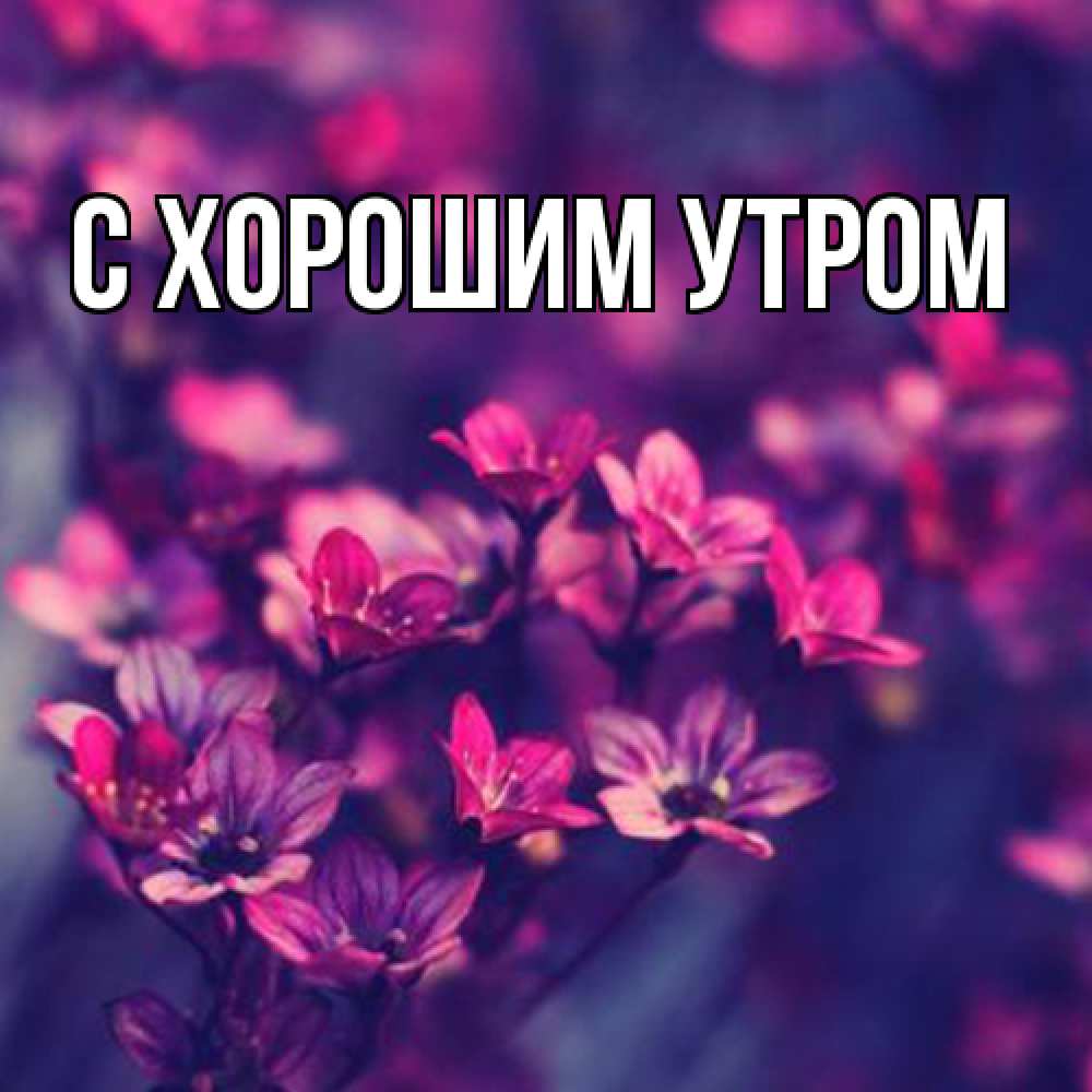 Открытка на каждый день с именем, Лёня Люблю тебя небольшие цветы 1 Прикольная открытка с пожеланием онлайн скачать бесплатно 