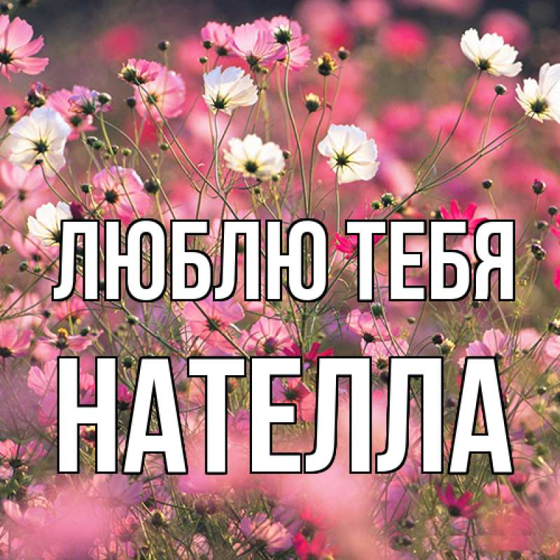 Картинка Люблю тебя, Нателла
