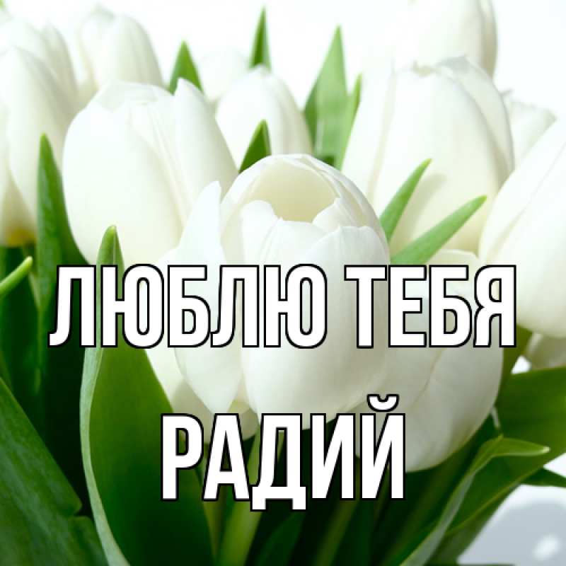 Картинка Люблю тебя, Радий