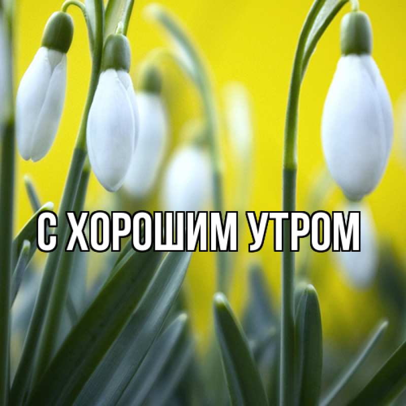 Картинка Люблю тебя, Лёня