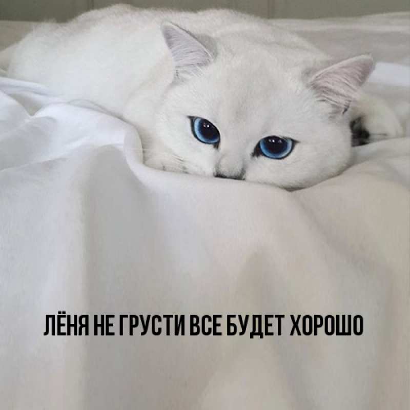 Картинка Не грусти, все будет хорошо, Лёня