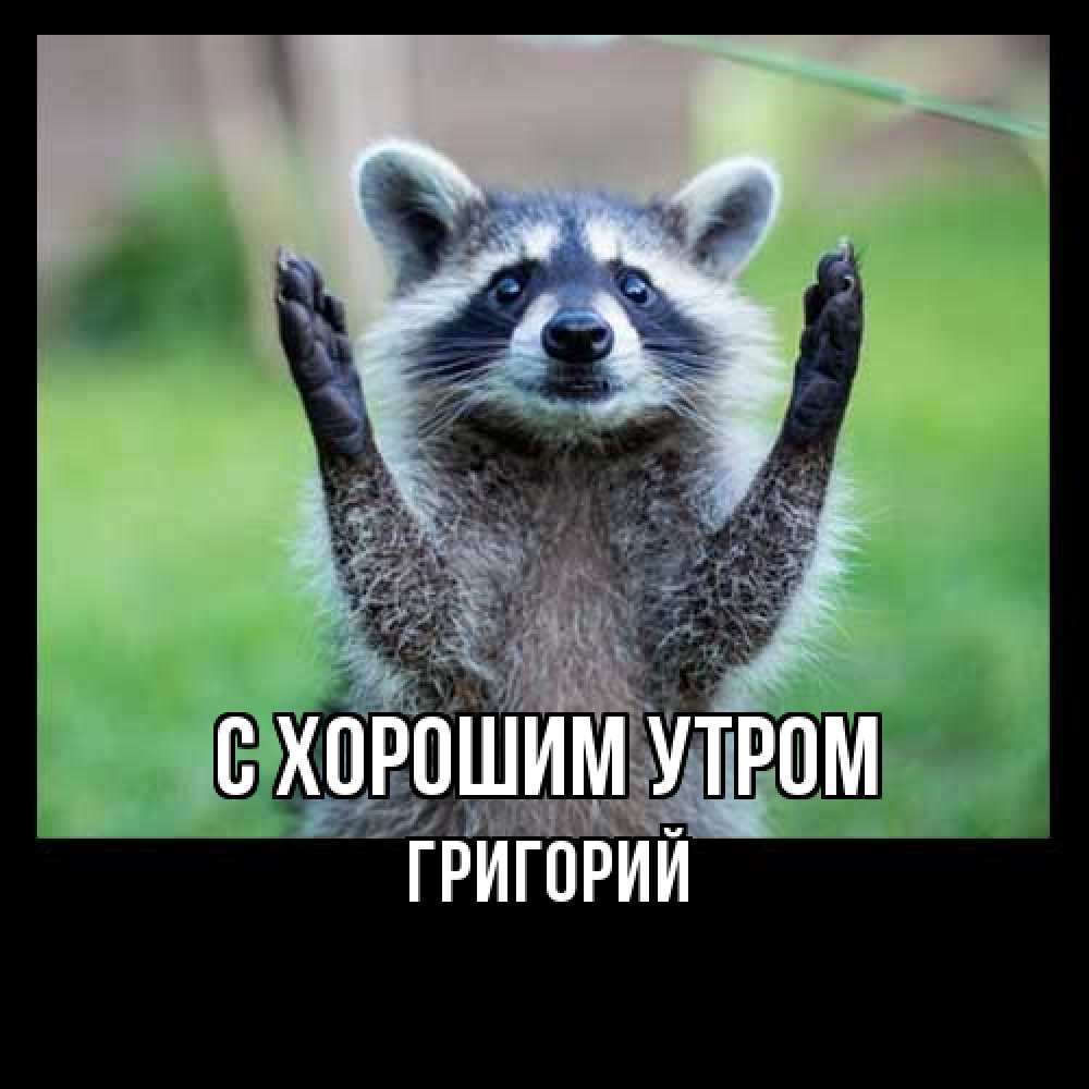 Открытка на каждый день с именем, Григорий С хорошим утром хорошее настроение утречком Прикольная открытка с пожеланием онлайн скачать бесплатно 