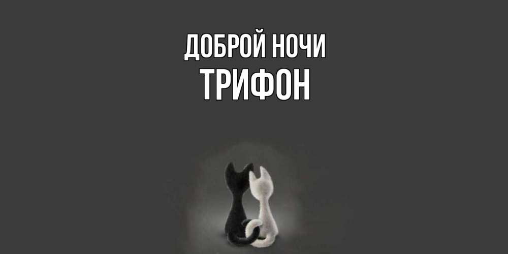 Открытка на каждый день с именем, Трифон Доброй ночи коты Прикольная открытка с пожеланием онлайн скачать бесплатно 