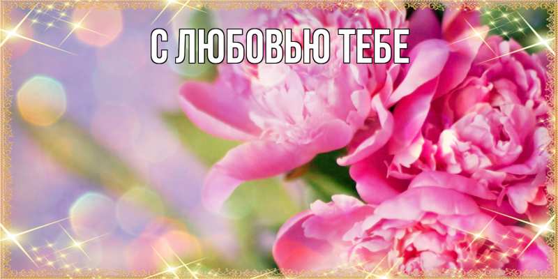 Картинка Люблю тебя, Жан