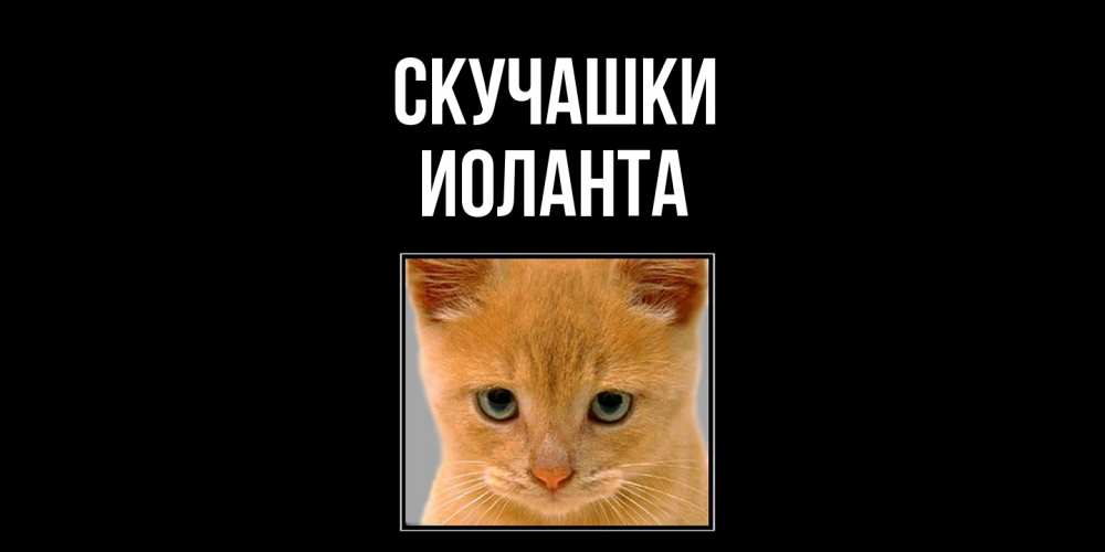 Открытка на каждый день с именем, Иоланта Скучашки открытки рыжий котенок скучает по тебе Прикольная открытка с пожеланием онлайн скачать бесплатно 