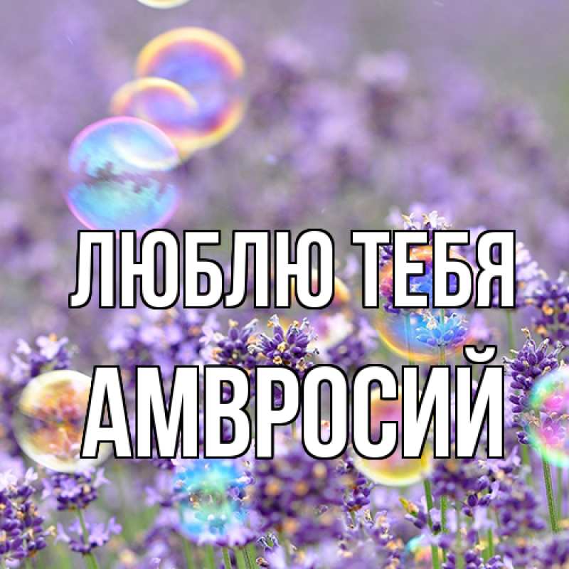 Открытка с именем, Амвросий, Люблю тебя
