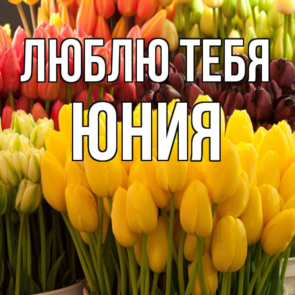 Открытка на каждый день с именем, Юния Люблю тебя цветы Прикольная открытка с пожеланием онлайн скачать бесплатно 